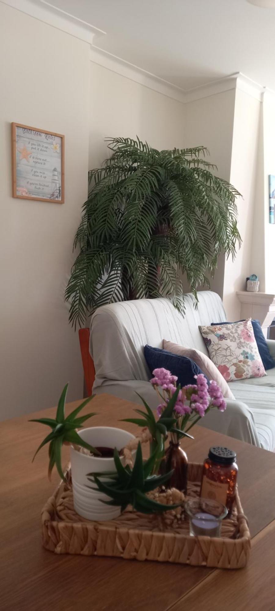 バレアルFilipe'S Houseアパートメント エクステリア 写真